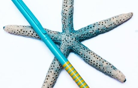Bolígrafo estrecho rayas azul sobre estrella de mar
